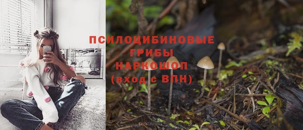 бошки Балахна