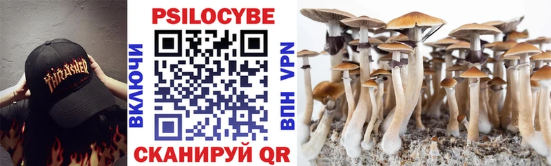 Галлюциногенные грибы мухоморы Купить закладки Велиж